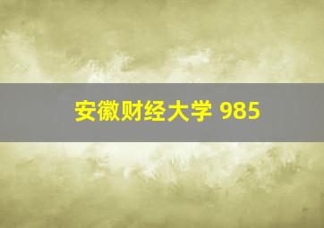 安徽财经大学 985